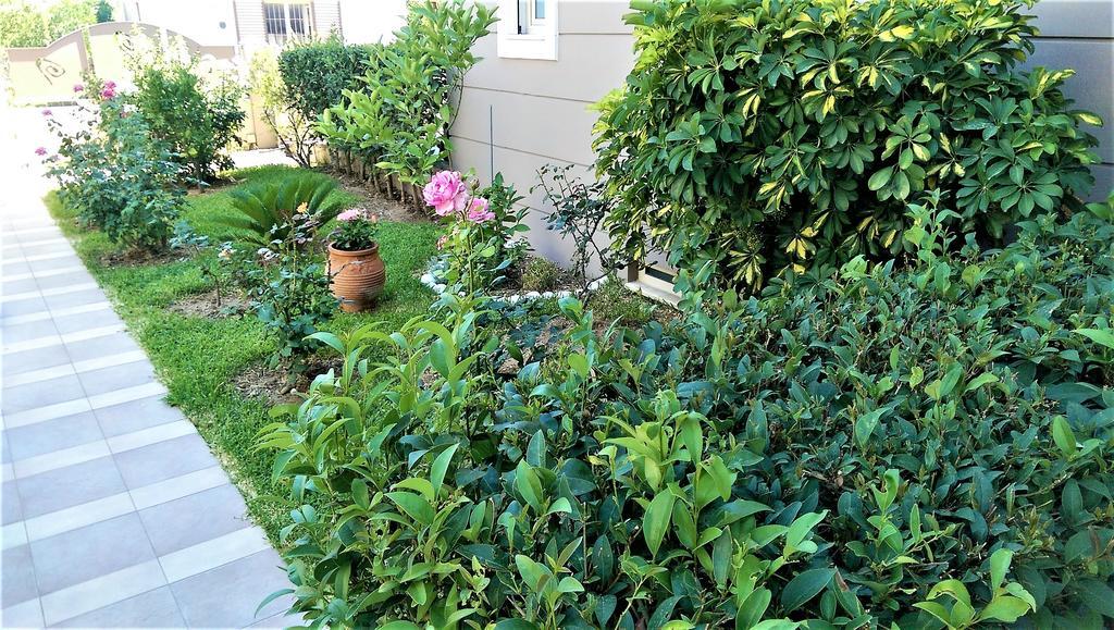 Lefkáda Maria'S Rose Garden 아파트 외부 사진