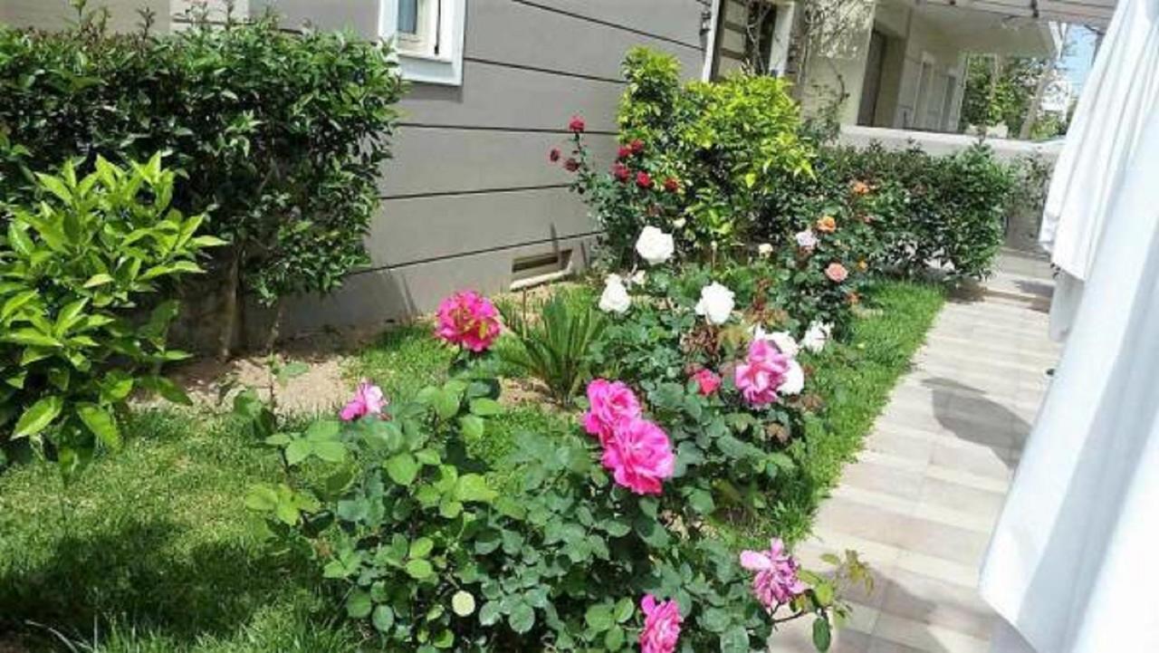 Lefkáda Maria'S Rose Garden 아파트 외부 사진